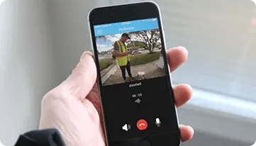 81606353